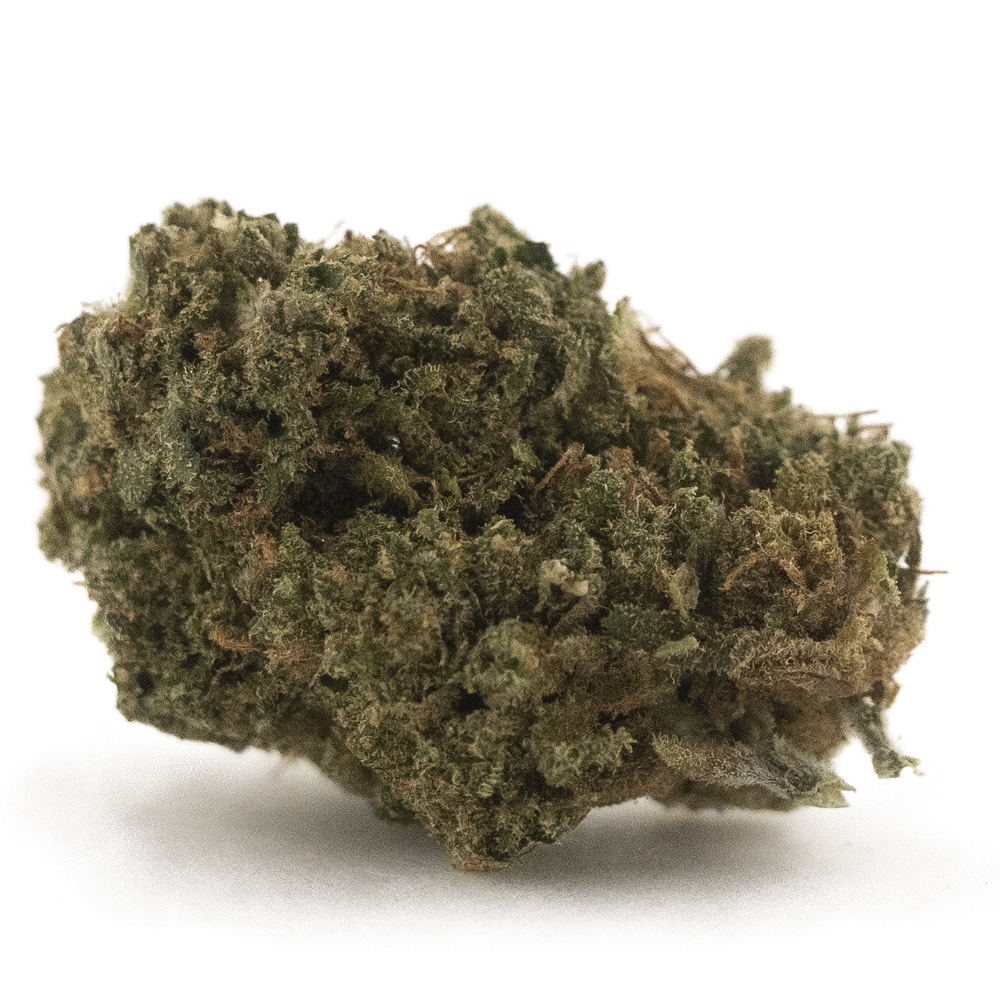 buy-weed-online-dispensary-cookie-glue-a-hybrid-nug.jpg