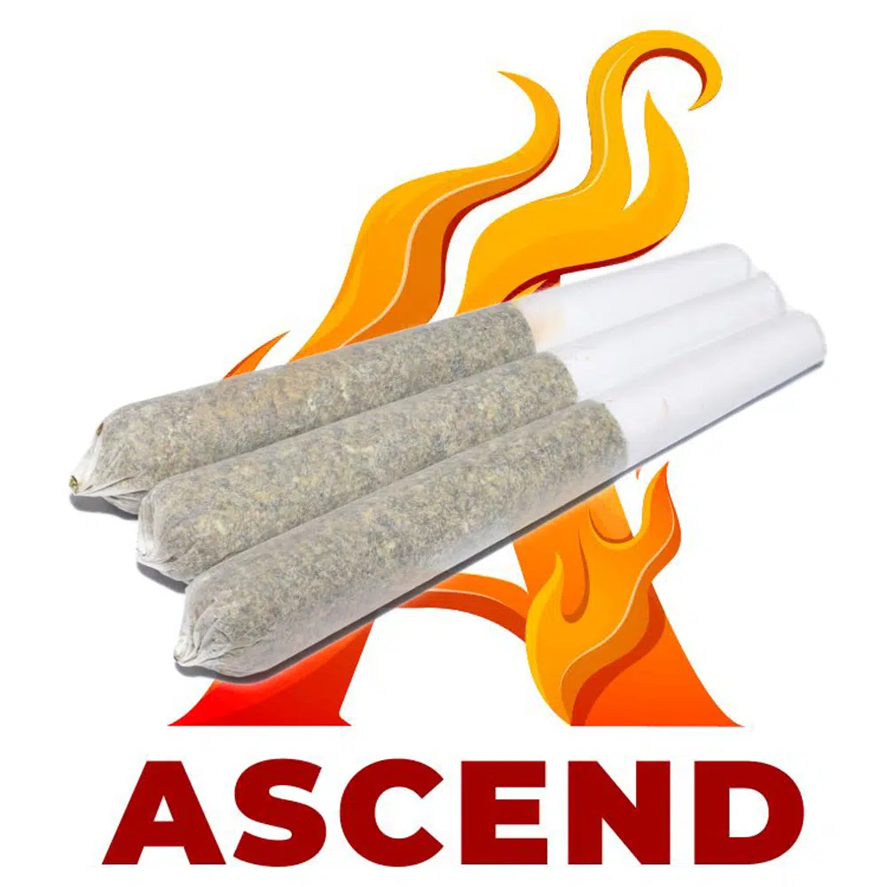 buy-weed-online-dispensary-ascend-pre-rolls-1.jpg