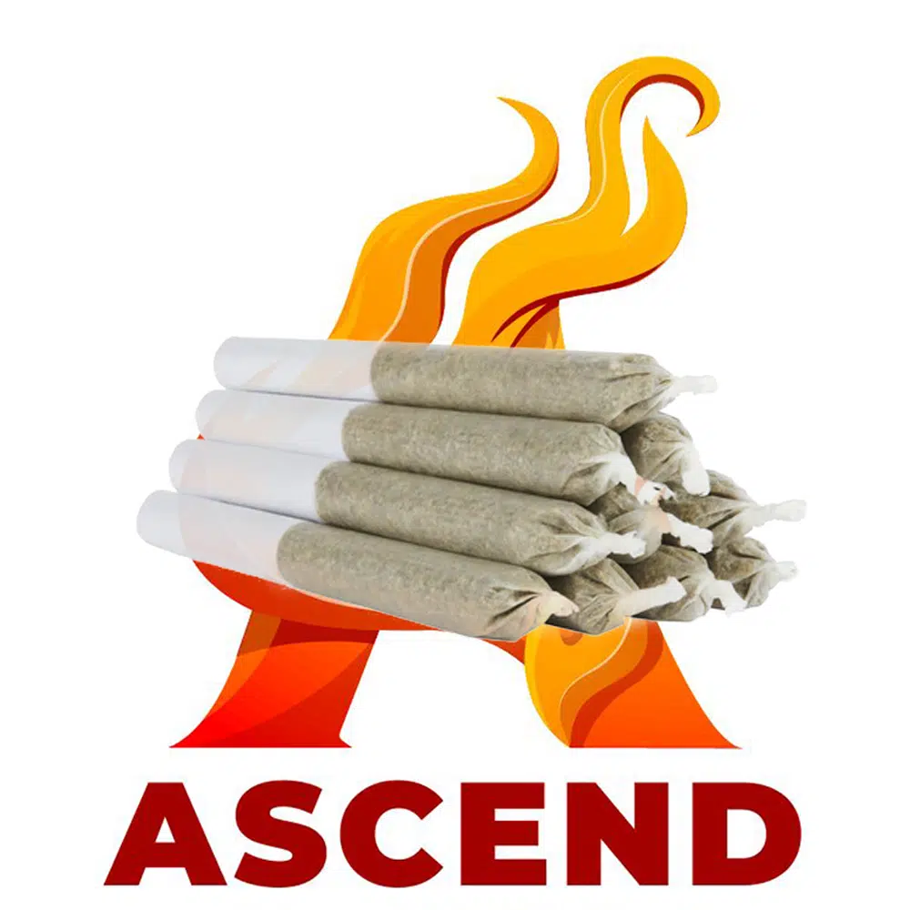 buy-weed-online-dispensary-ascend-pre-rolls-half-gram.jpg
