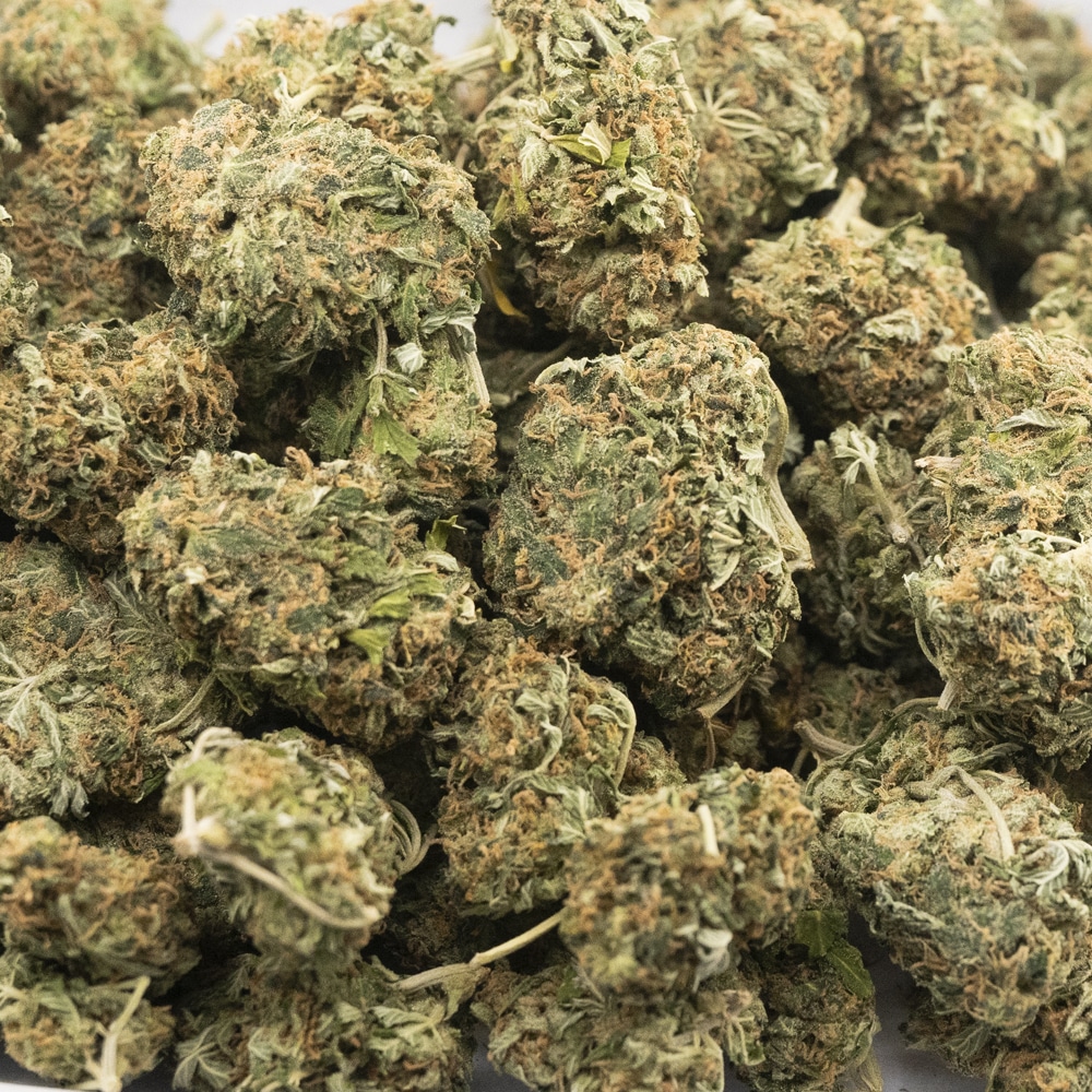 buy-weed-online-dispensary-blueberry-g13-aa-indica-wholesale.jpg
