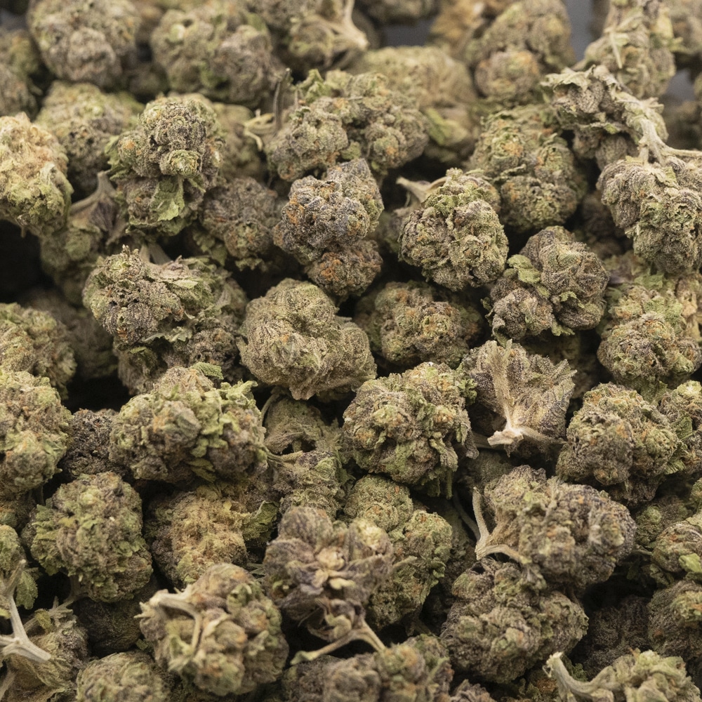 buy-weed-online-dispensary-grand-doggy-purps-aa-indica-wholesale.jpg