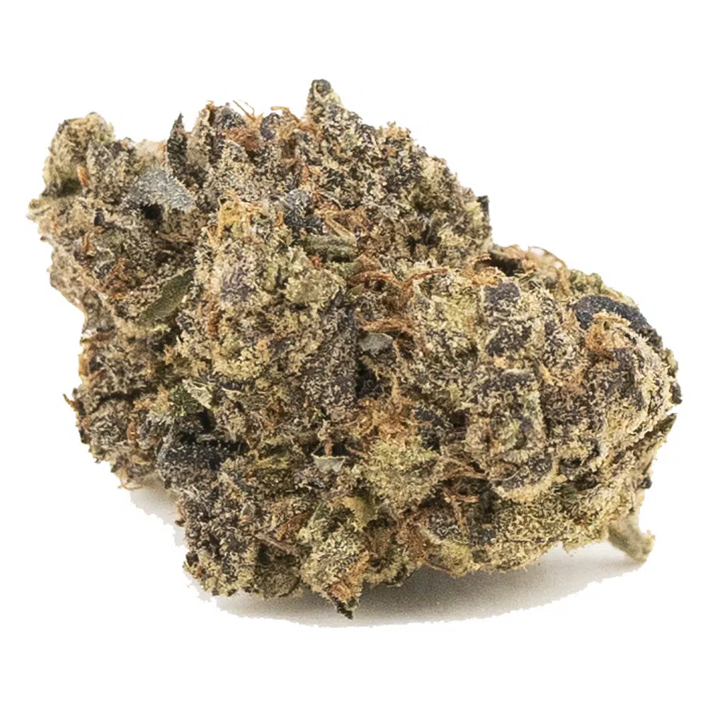 buy-weed-online-dispensary-insane-og-aa-hybrid-nug-1.jpg