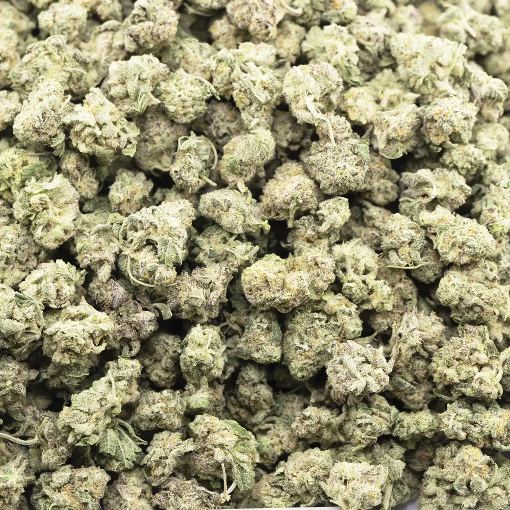 buy-weed-online-dispensary-rainbow-haze-aaa-popcorn-indica-wholesale.jpg