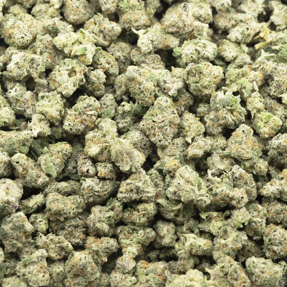 buy-weed-online-dispensary-ghost-rider-og-aaaa-popcorn-hybrid-wholesale.jpg